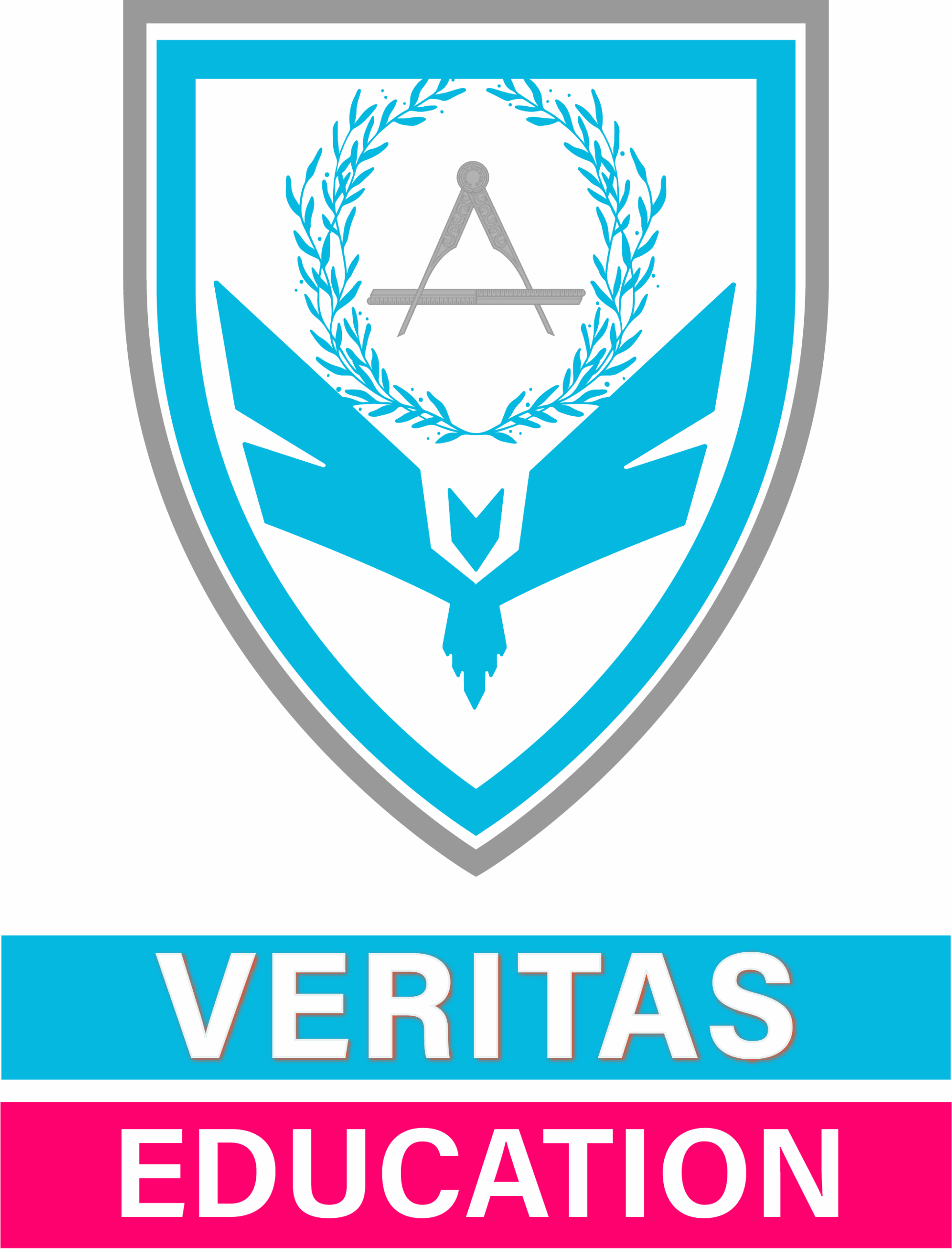 logo Vbouclier v92